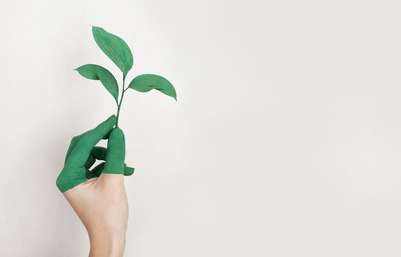How to Start Your Zero-Waste Journey