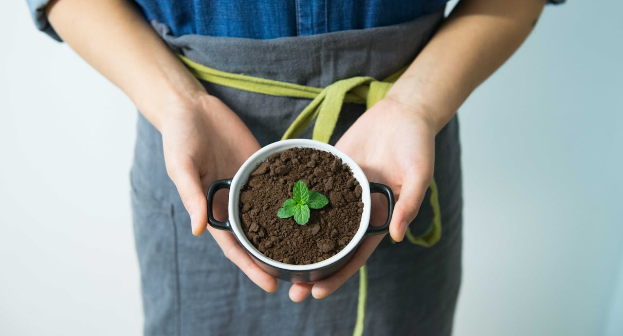 Why Eco-Friendly Products Are the Future of Shopping